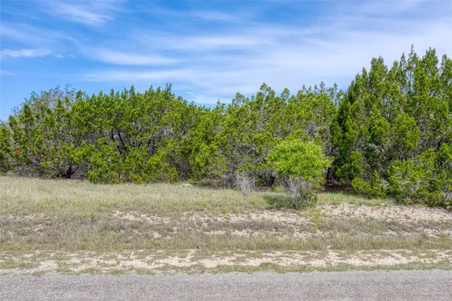 a view of a yard with a tree