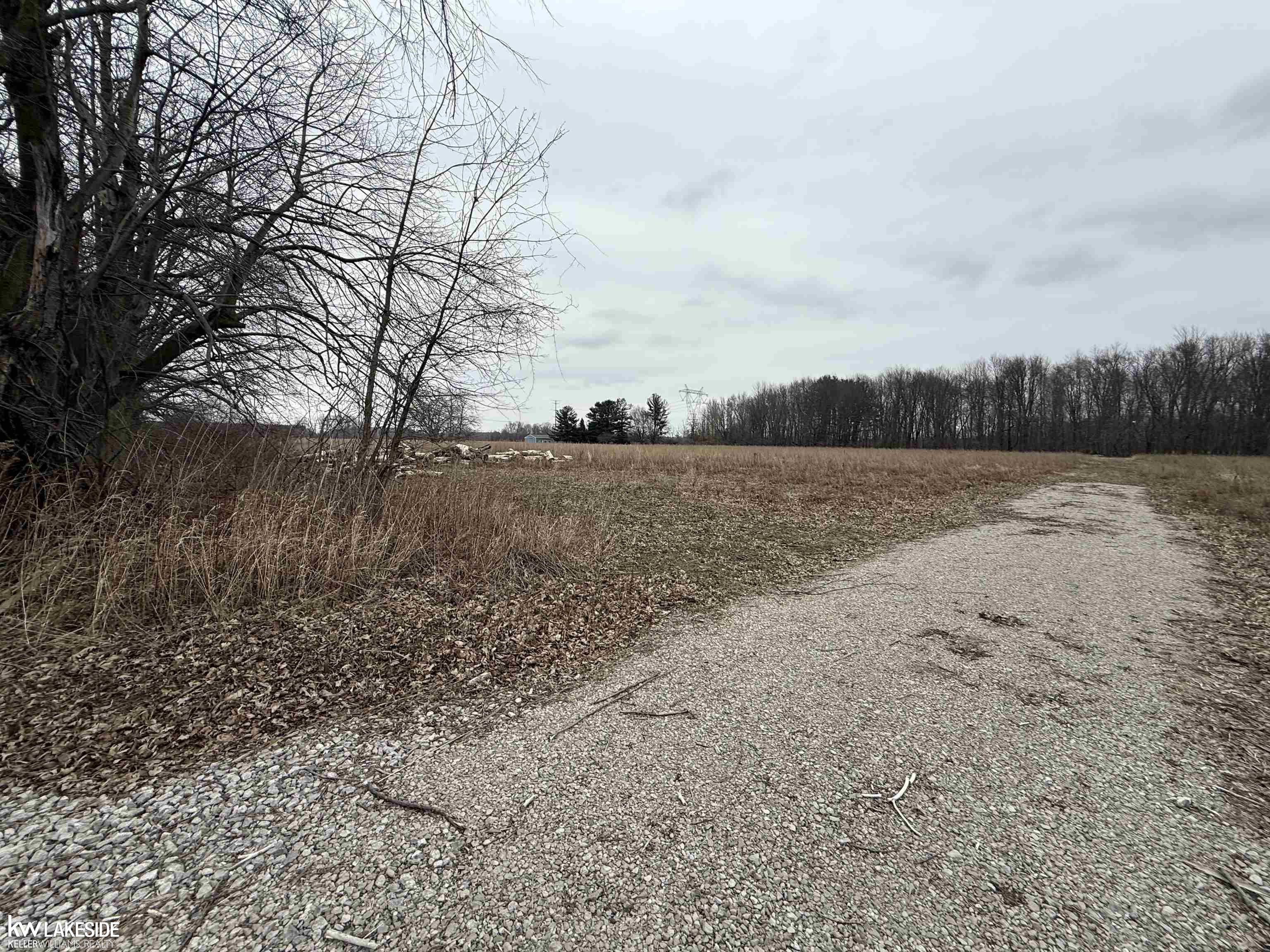 0 Cove Road Goodells, MI 48027 - Photo 8 of 25