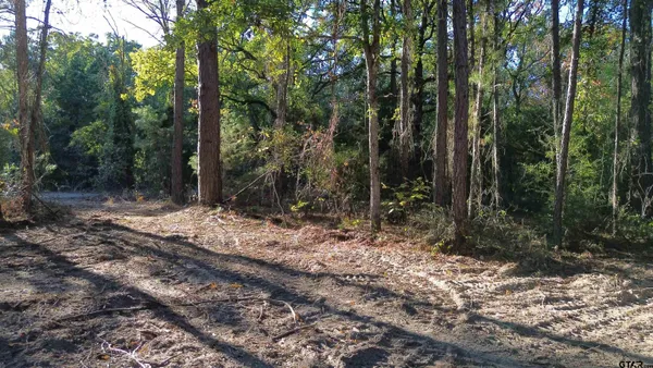 $299,500 | 0 Cr 4330 Larue Tx 75770, Larue, TX 75770