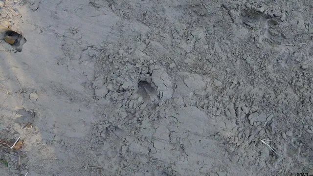 a close up of a marble wall