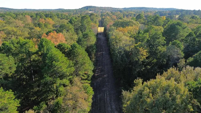 a view of a city with lush green forest