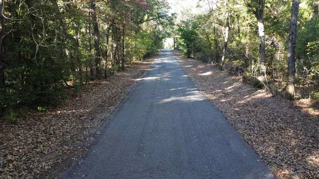 a view of a yard with plants and trees