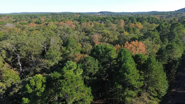 an aerial view of forest