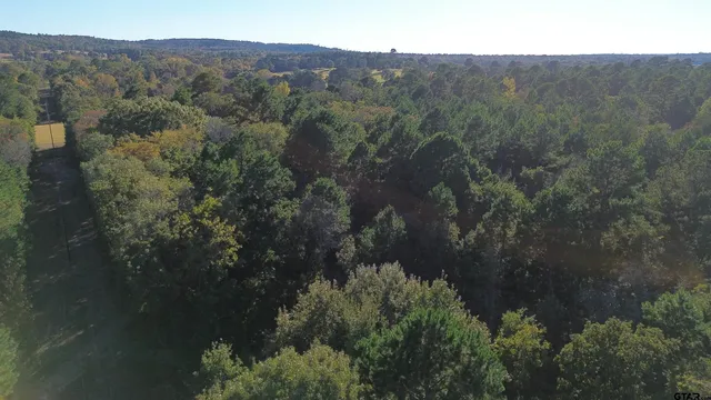 an aerial view of residential house with green space