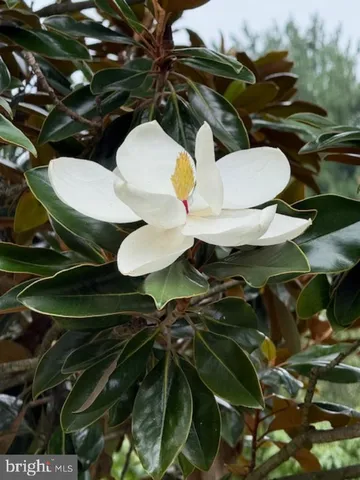 $315,999 | 36 Roboda Boulevard, Royersford, PA 19468