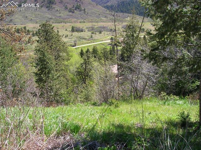9710 Mohawk Trail Cascade, CO 80809 - Photo 4 of 5