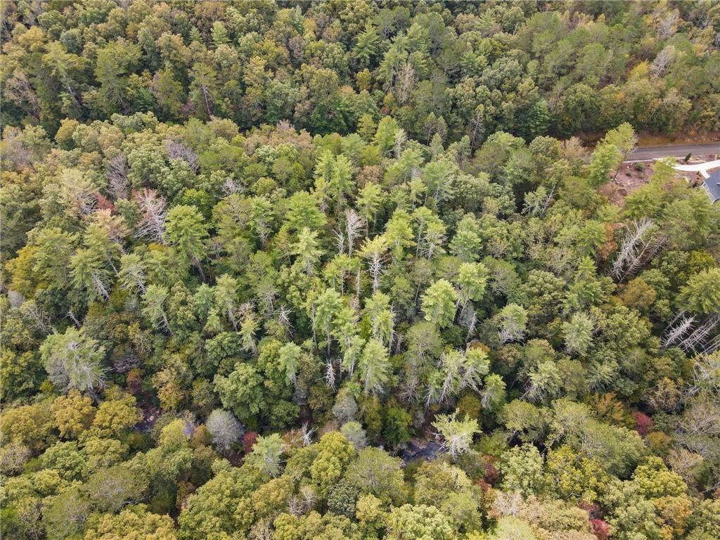 0 Trout Line Court Talking Rock, GA 30175 - Photo 19 of 50 an aerial view of a houses with a yard
