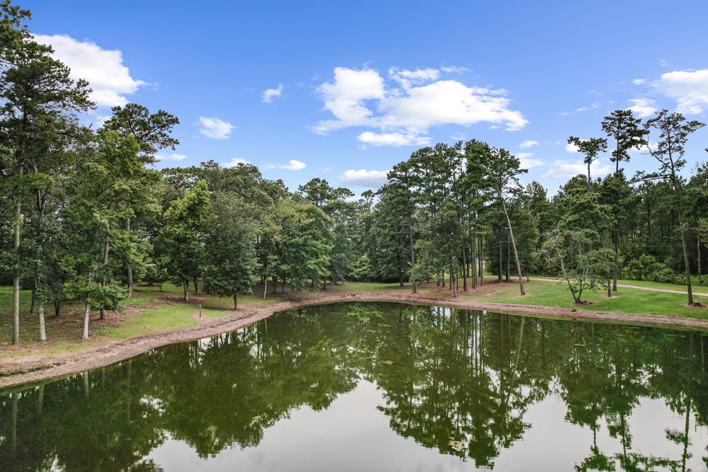 6850 North Co Road Columbia, AL 36319 - Photo 67 of 81