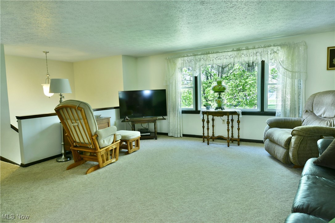 379 Housel Craft Road Bristolville, OH 44402 - Photo 21 of 50 Living room with baseboards, a textured ceiling, and carpet