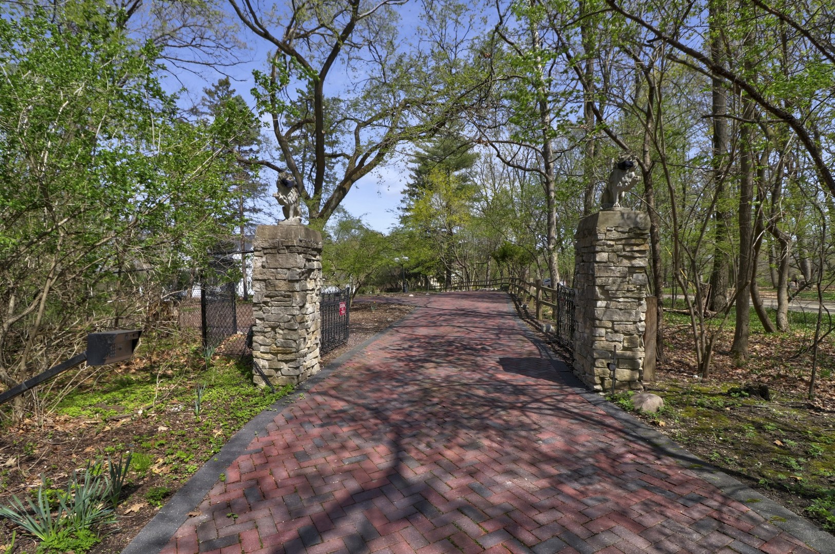 3423 Spring Road Oak Brook, IL 60523 - Photo 54 of 75 a backyard of a house with lots of green space