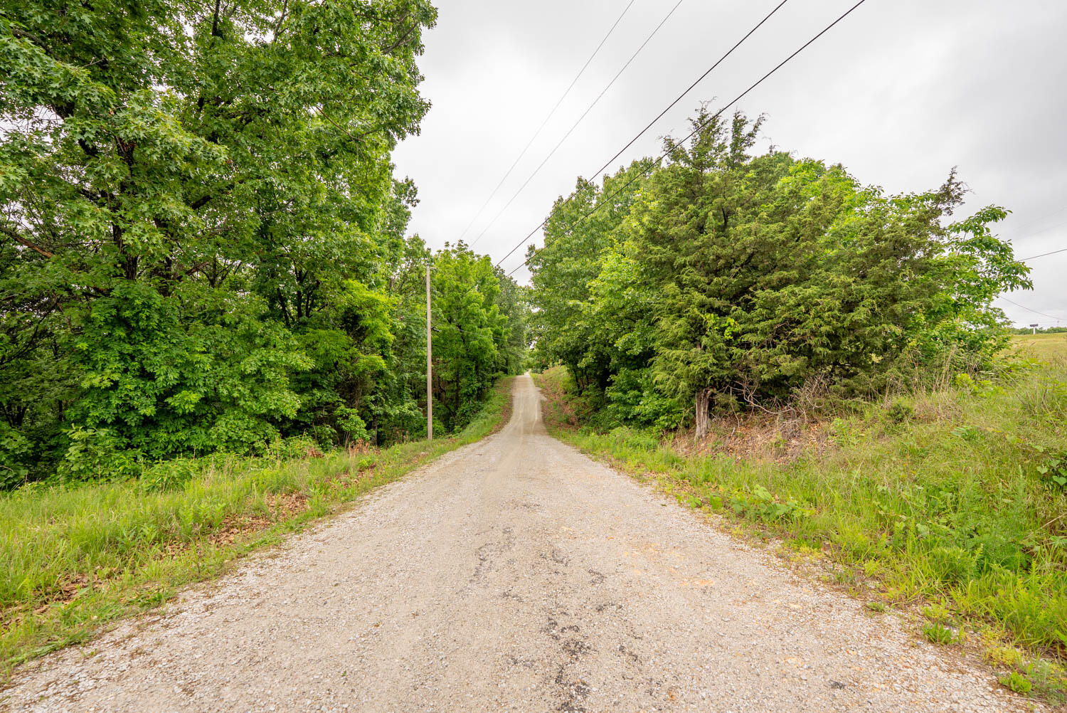 Tbd Devil's Pool Road Ridgedale, MO 65739 - Photo 17 of 19 1.6 acres015