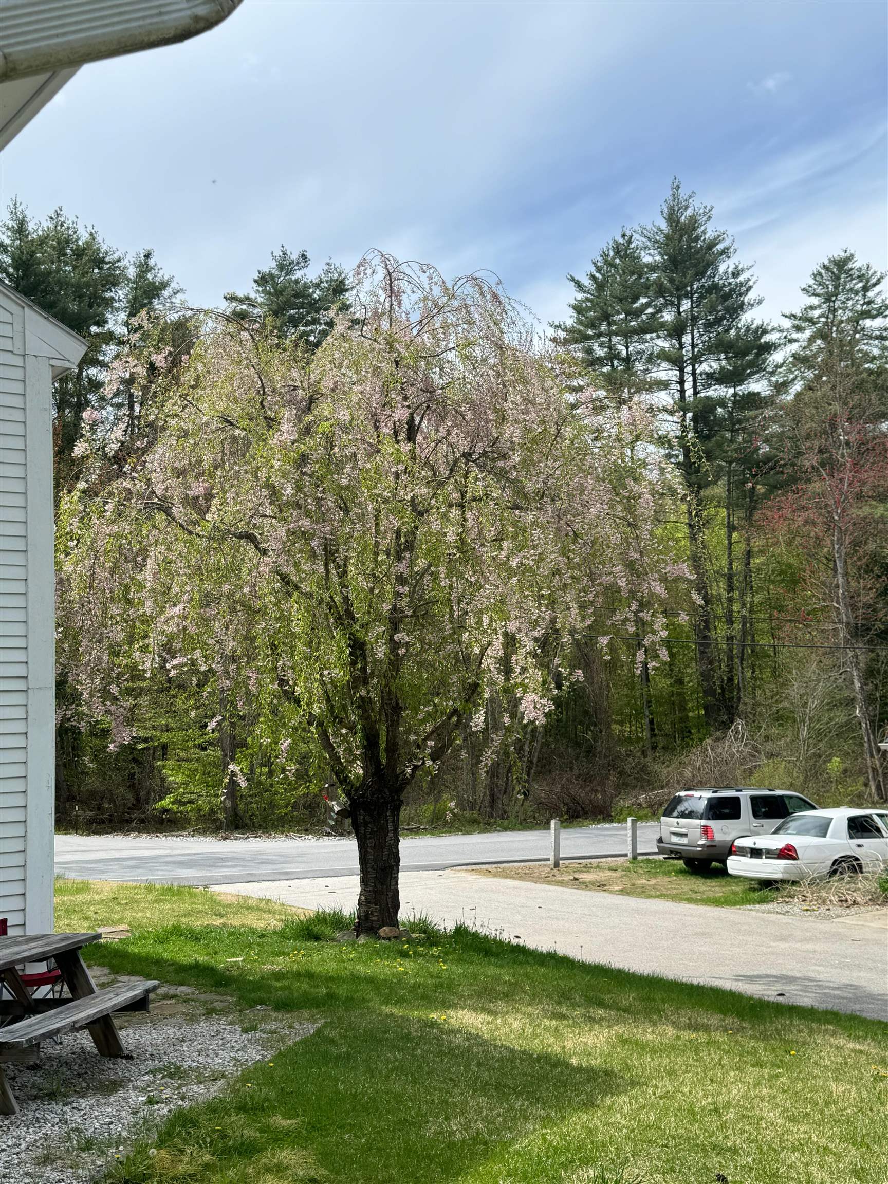 244 Page Road Bow, NH 03304 - Photo 51 of 53 Gallery Image 51