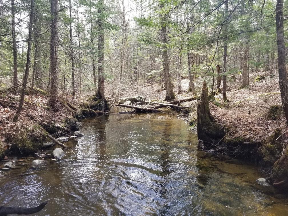 0 Weeks Mills Road New Sharon, ME 04955 - Photo 1 of 38 Salt Marsh creek