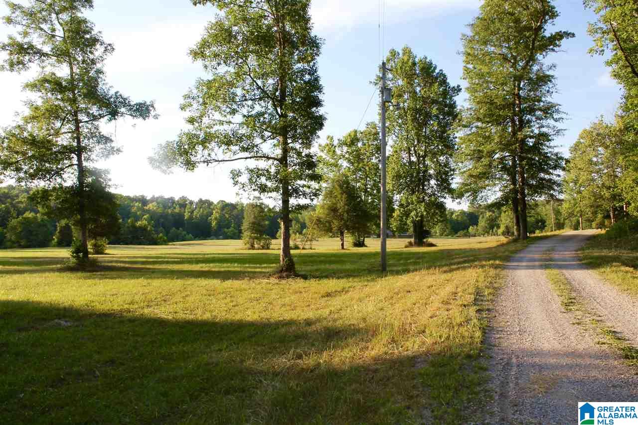 153 Ranch Road Jacksonville, AL 36265 - Photo 20 of 28