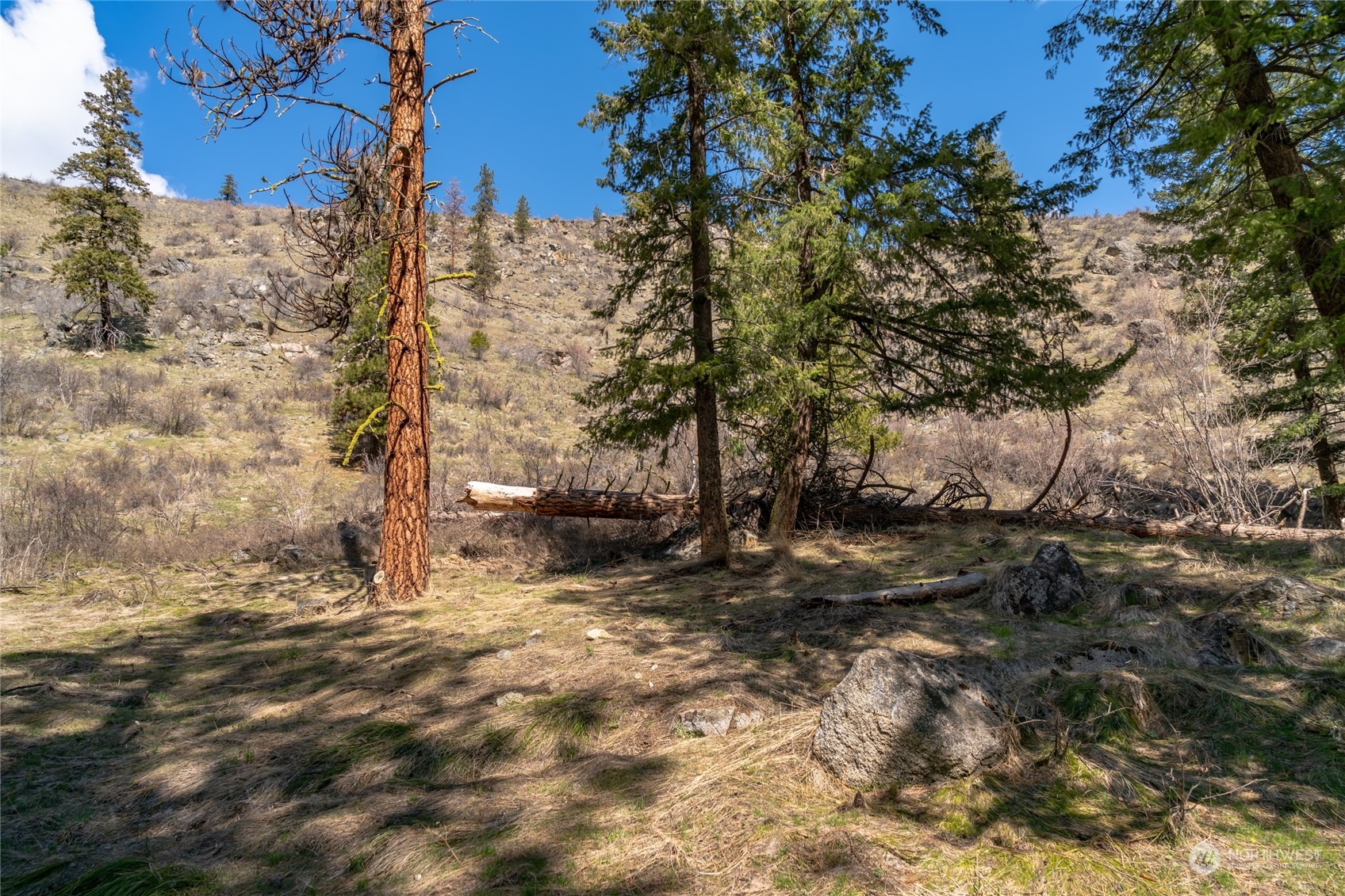 590 Mad River Road Entiat, WA 98822 - Photo 31 of 33 Gallery Image 31