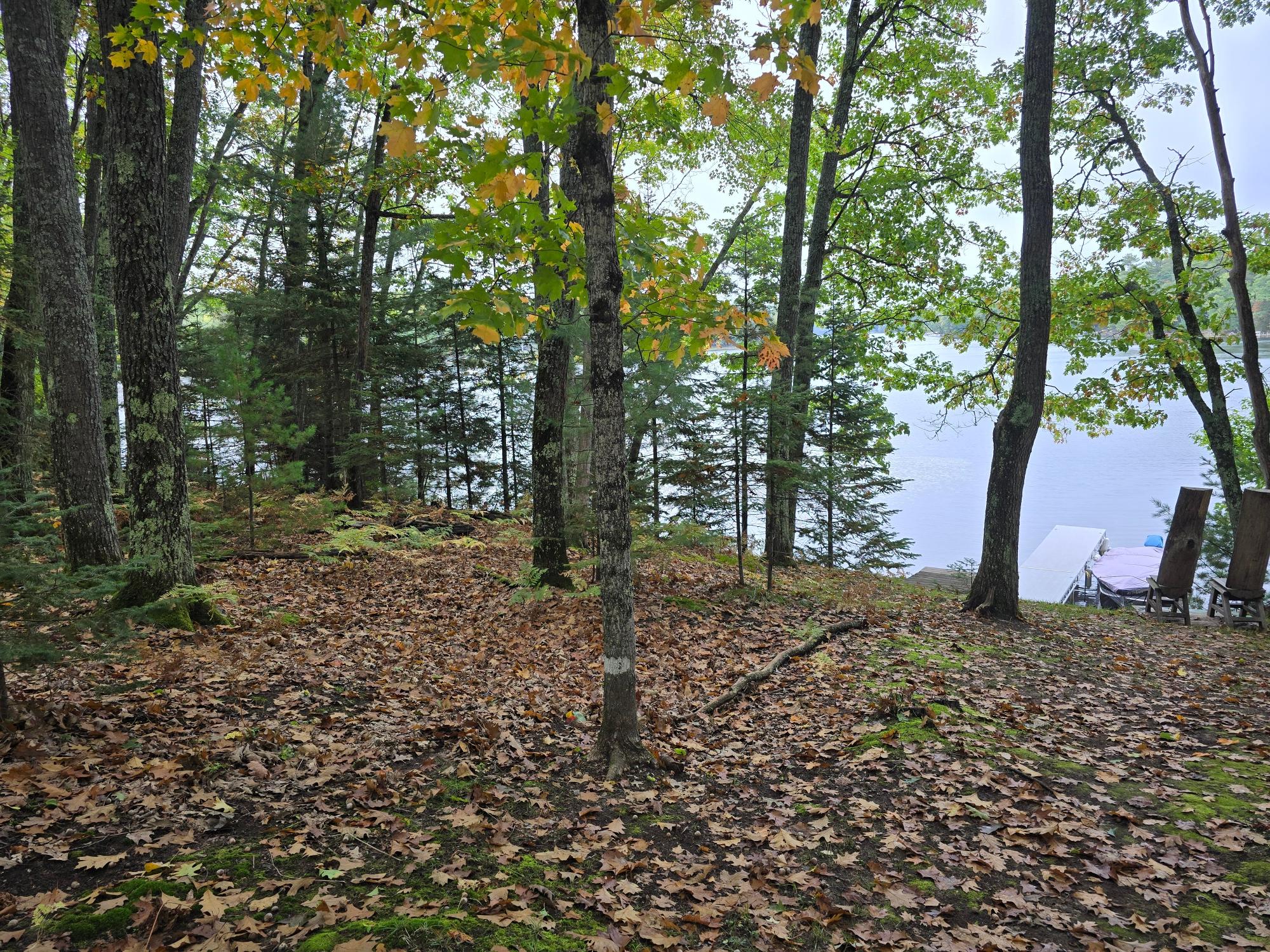 6538 Anderson Lake Road Land O'Lakes, WI 54540 - Photo 9 of 25 Gallery Image 9