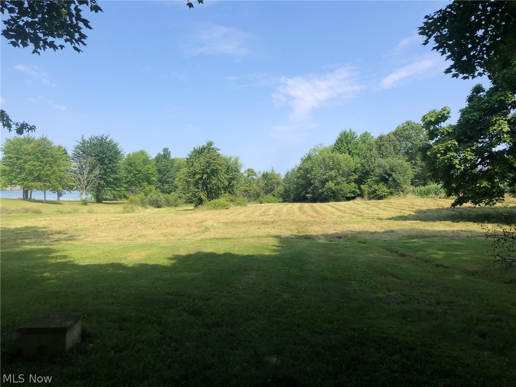 10200 Springfield Road Youngstown, OH 44514 - Photo 24 of 27 View from house to Lake