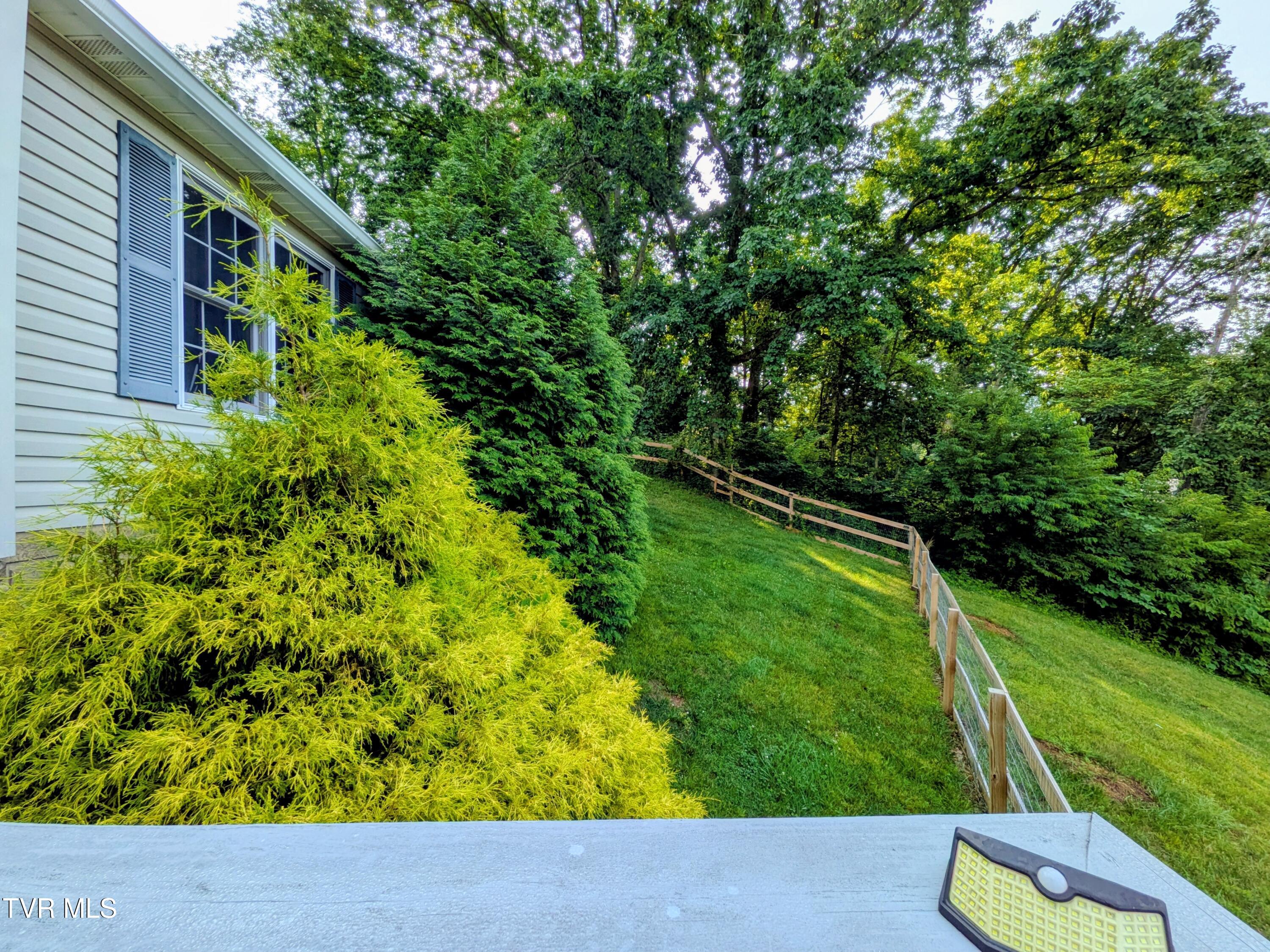113 Nave Hollow Road Elizabethton, TN 37643 - Photo 79 of 91 Yard(4)