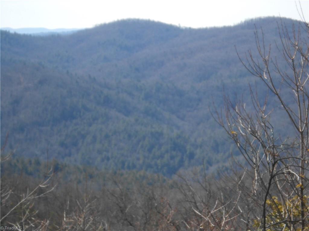 152 B Buck Mountain Road Purlear, NC 28665 - Photo 1 of 7