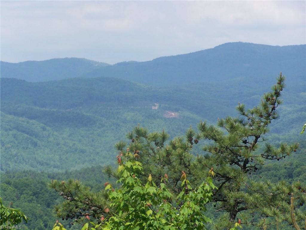 152 B Buck Mountain Road Purlear, NC 28665 - Photo 2 of 7