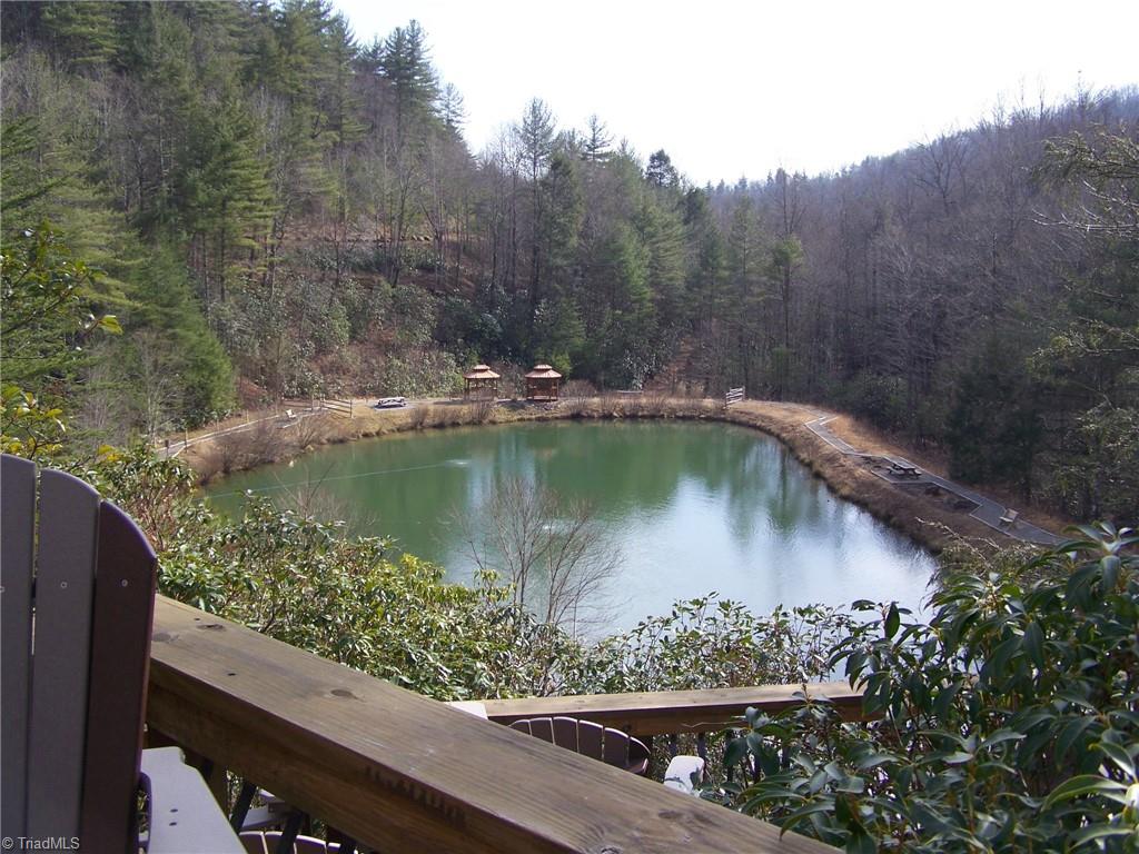 152 B Buck Mountain Road Purlear, NC 28665 - Photo 3 of 7