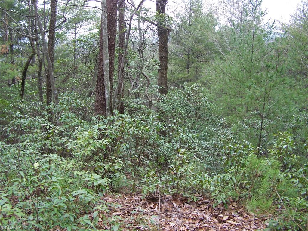 152 B Buck Mountain Road Purlear, NC 28665 - Photo 5 of 7