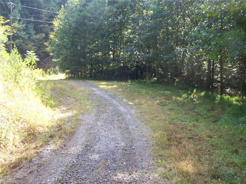 152 B Buck Mountain Road Purlear, NC 28665 - Photo 6 of 7