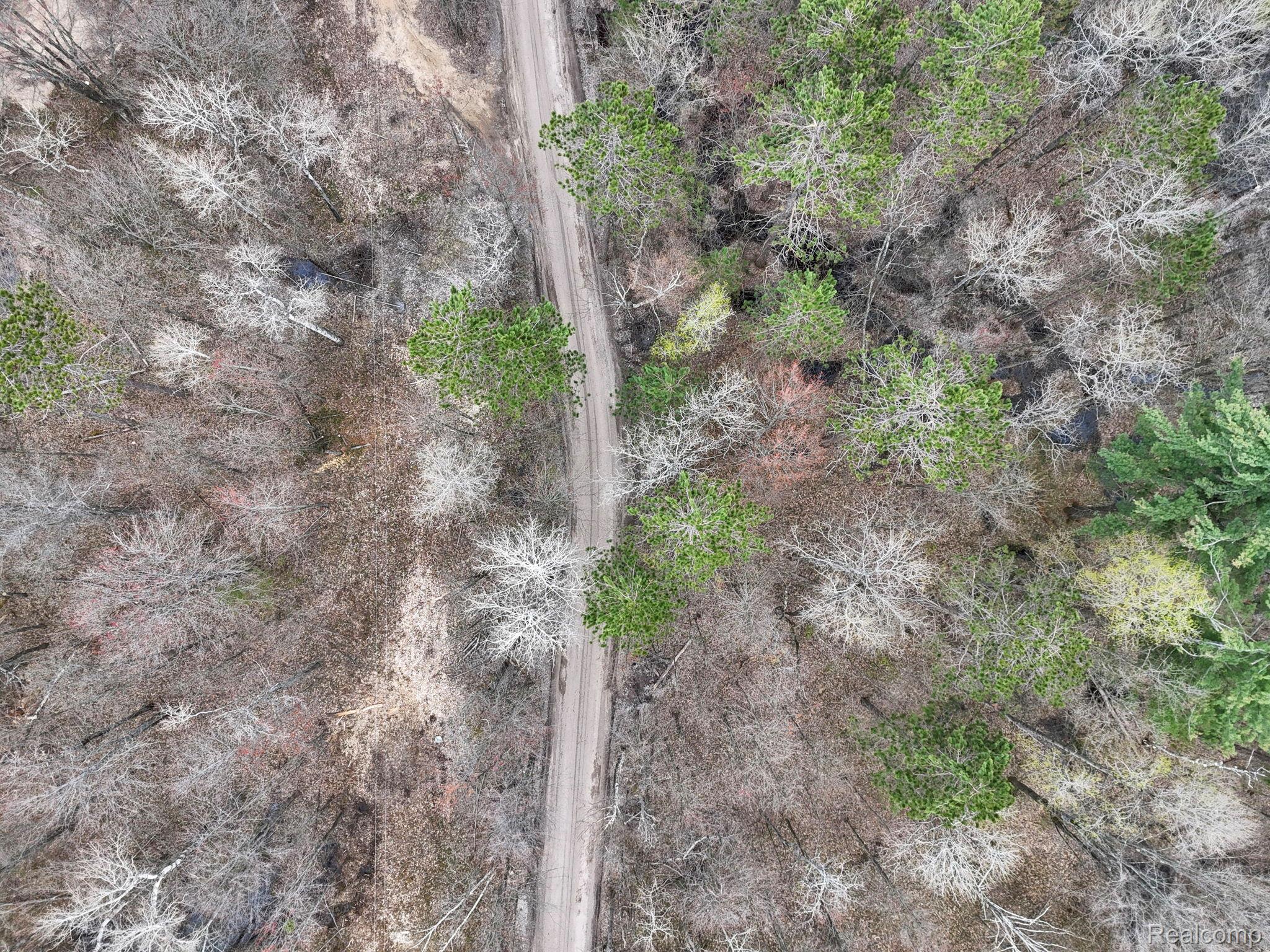 32 32 1/2 Road Cadillac, MI 49601 - Photo 16 of 17 DJI_20251226130110_0067_D.JPG