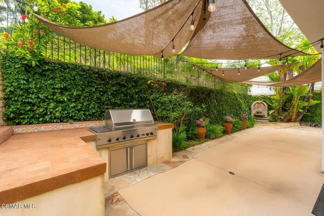 a view of a backyard with plants