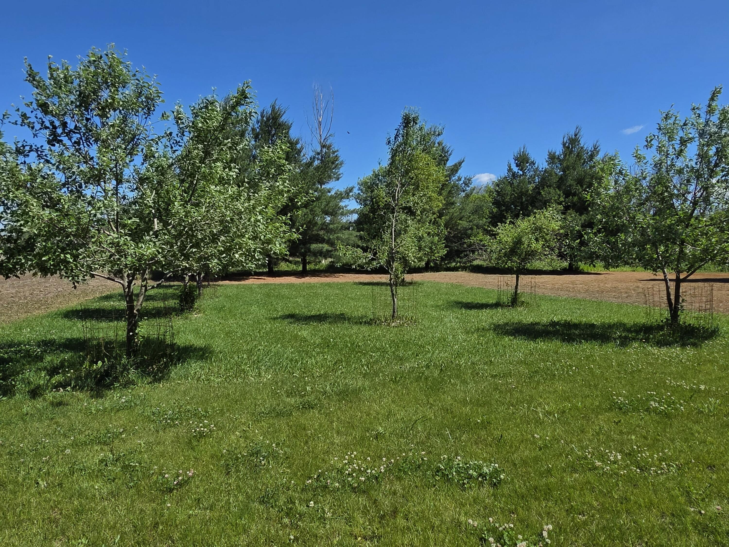 W985 Fur Farm Road New Holstein, WI 53061 - Photo 33 of 57 11997