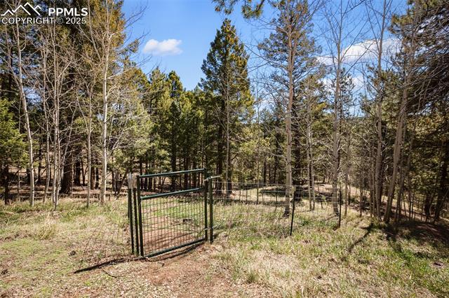 204 Kutsu Ridge Road Florissant, CO 80816 - Photo 28 of 29
