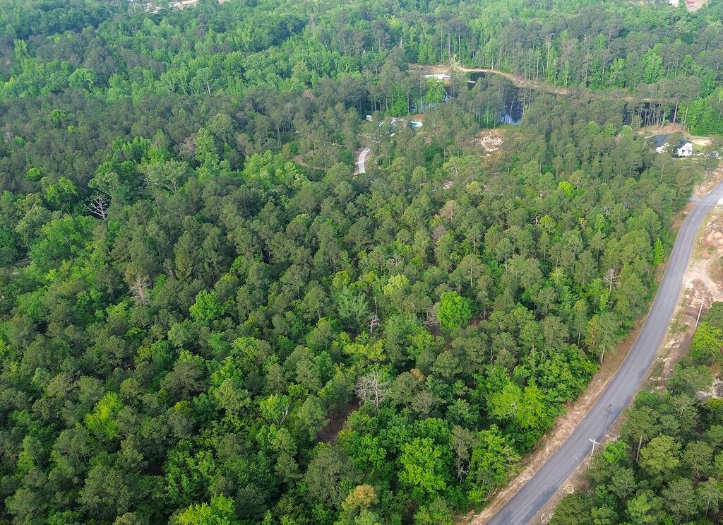 0 Mt Zion Road, Unit 5 Trenton, SC 29847 - Photo 6 of 26