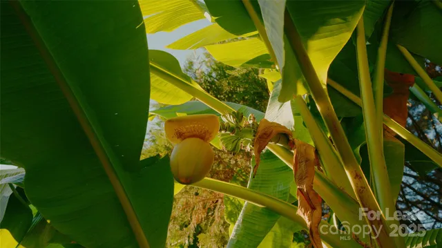 $5,250 | 12325 Summer Breeze Court, Charlotte, NC 28277