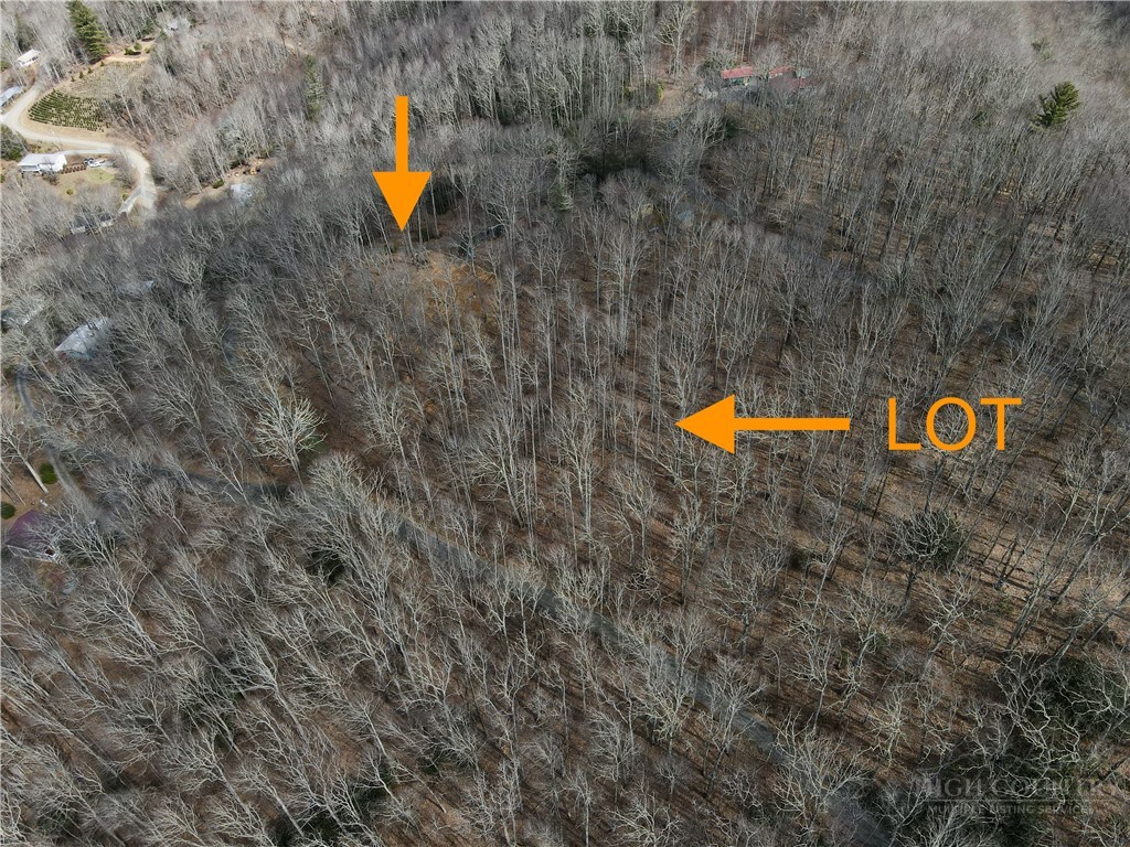 Old Chestnut Mountain Road Newland, NC 28657 - Photo 10 of 33