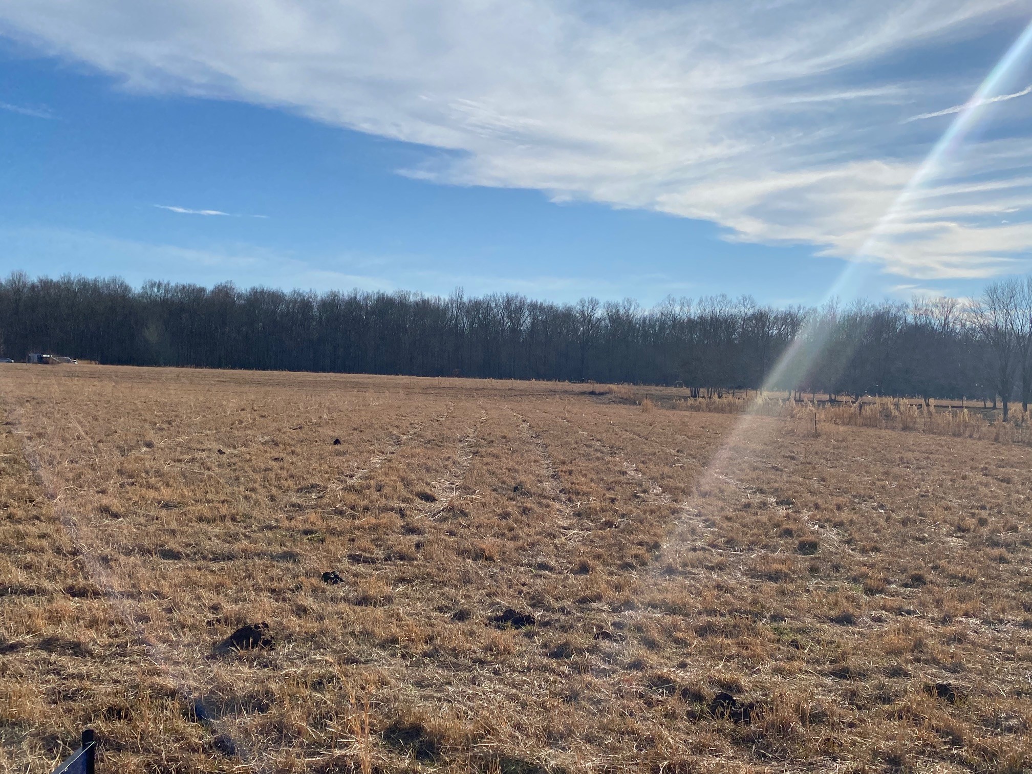 1 Cornelison Road Manchester, TN 37355 - Photo 1 of 1 a view of outdoor space and mountain view
