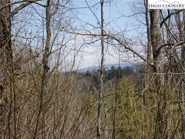 $9,900 | Lot #13 A River, Grassy Creek, NC 28631