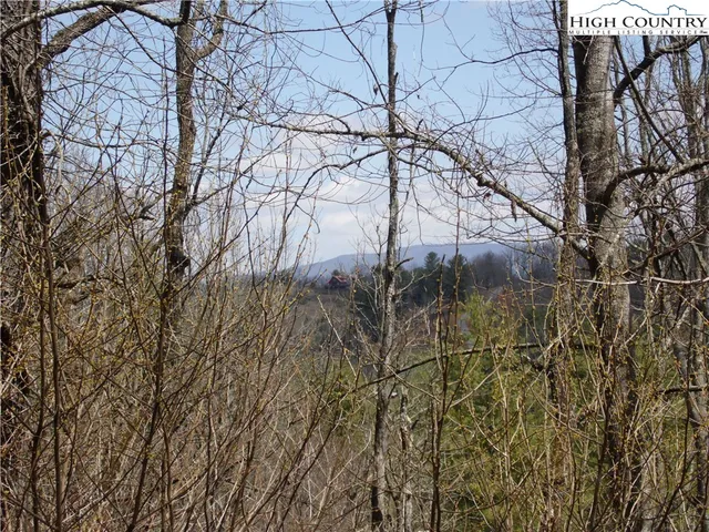 $9,900 | Lot #13 A River, Grassy Creek, NC 28631