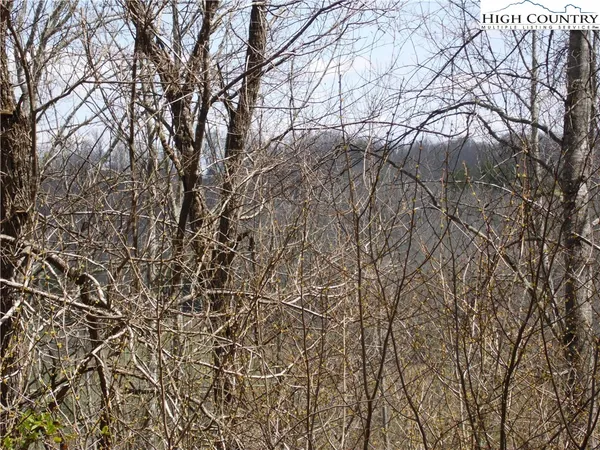 $9,900 | Lot #13 A River, Grassy Creek, NC 28631