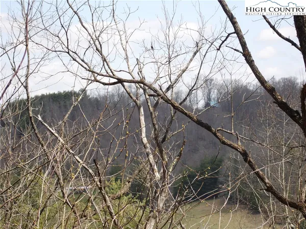 $9,900 | Lot #13 A River, Grassy Creek, NC 28631