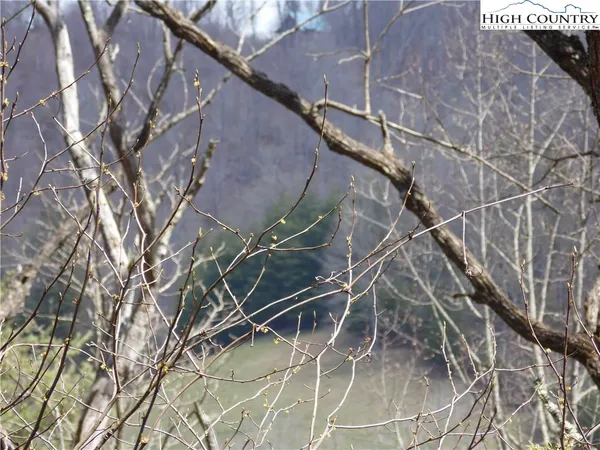 $9,900 | Lot #13 A River, Grassy Creek, NC 28631