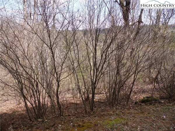 $9,900 | Lot #13 A River, Grassy Creek, NC 28631