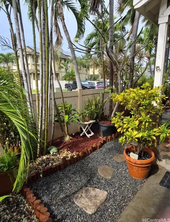 a outdoor space with blue plants