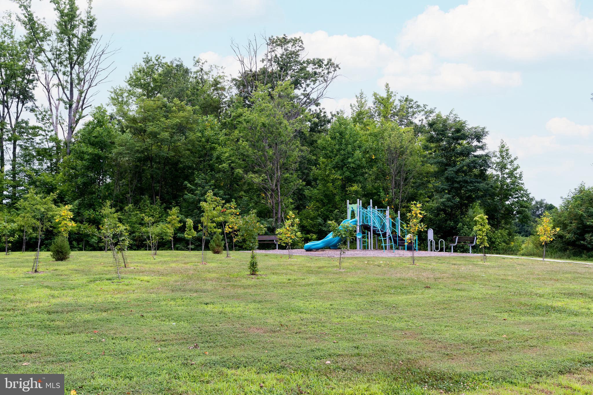 7 Olive Way Elkton, MD 21921 - Photo 21 of 21 a view of a ground with a trees