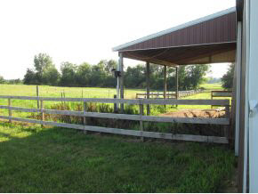 14069 3rd Road Plymouth, IN 46563 - Photo 21 of 23