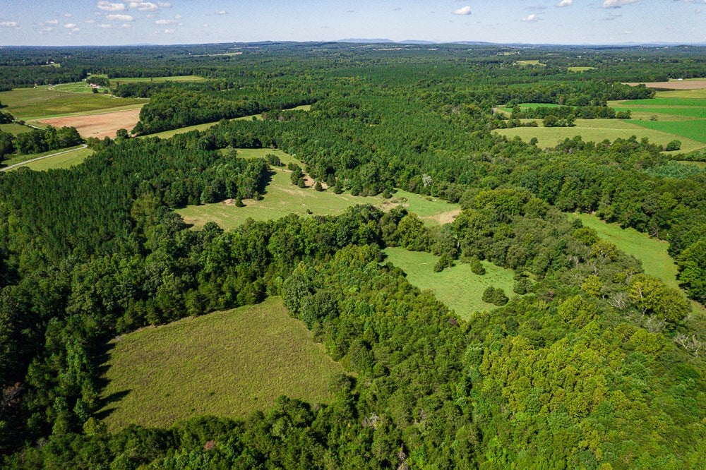 4465 Harmony Road Long Island, VA 24569 - Photo 33 of 51 Gallery Image 33