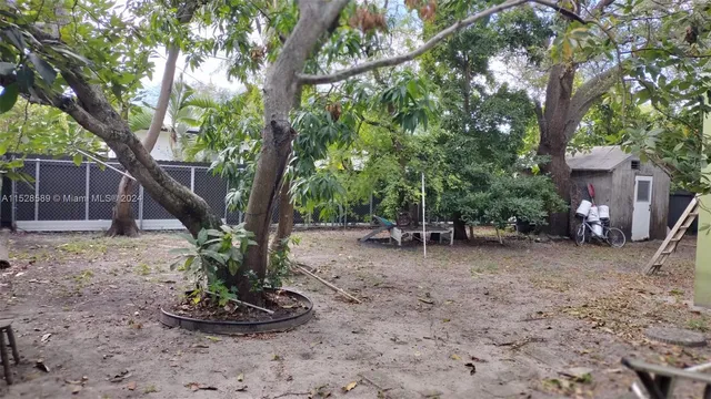 a view of a backyard with plants and a large tree