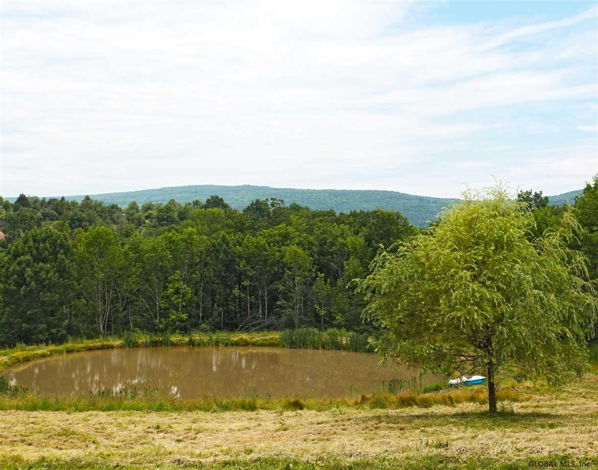 44 Rivenburg Lane Rensselaerville, NY 12469 - Photo 20 of 30 Photo 21