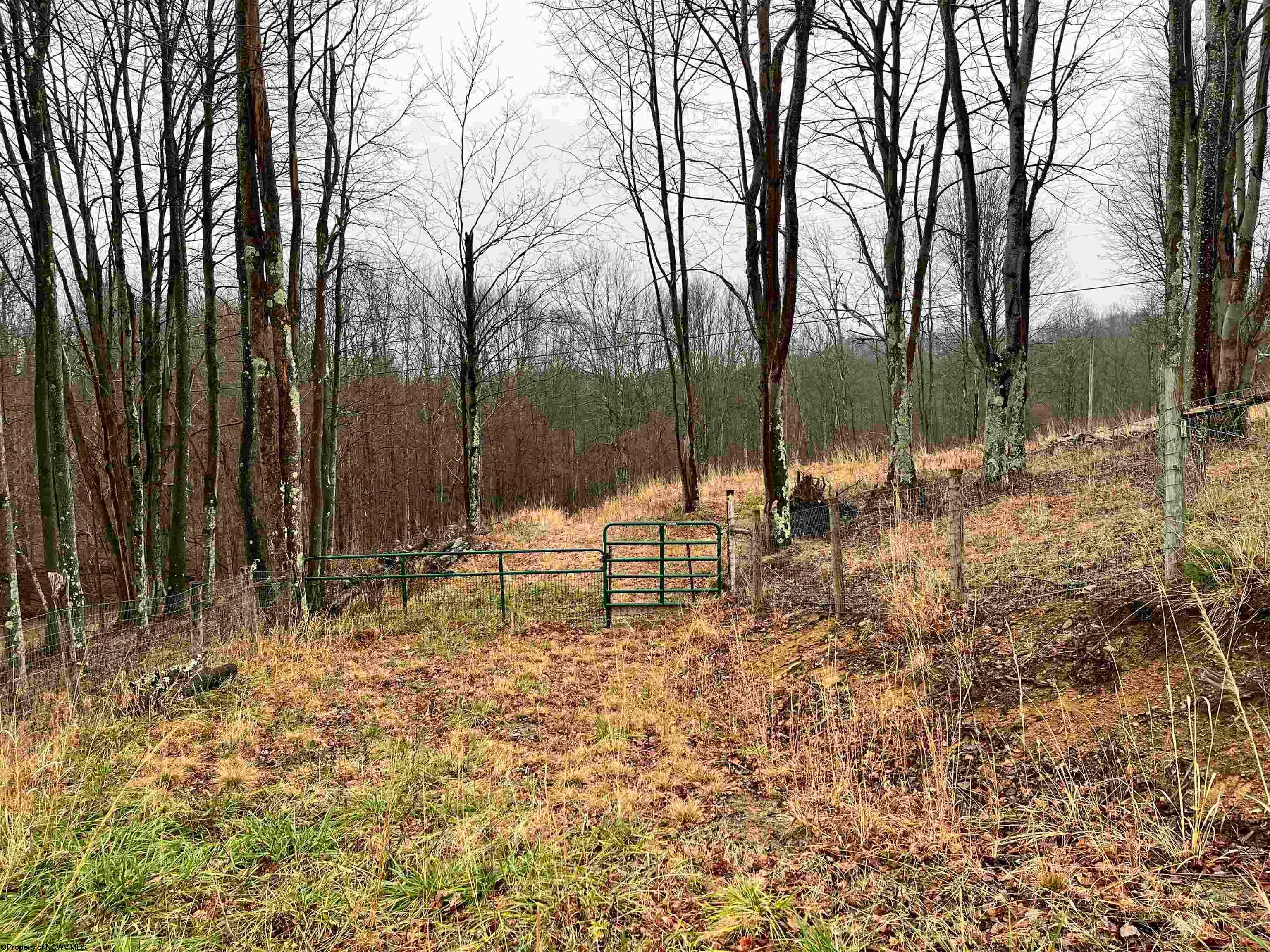 9179 Alexander Road French Creek, WV 26218 - Photo 24 of 50 Gallery Image 24