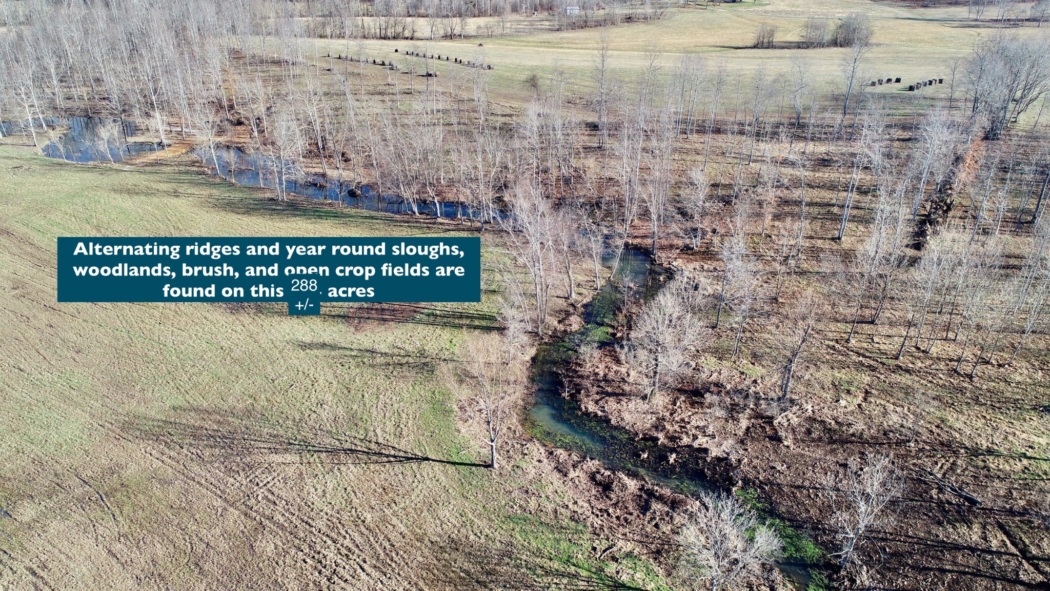 0 David Blue Road Summertown, TN 38483 - Photo 34 of 37 Gallery Image 34