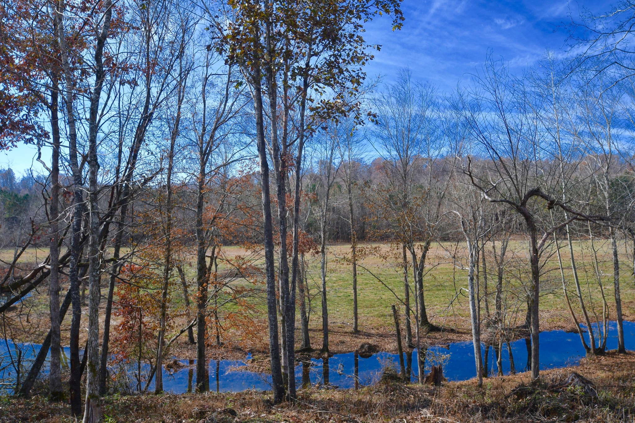 0 David Blue Road Summertown, TN 38483 - Photo 36 of 37 Gallery Image 36